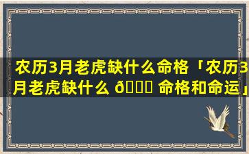 农历3月老虎缺什么命格「农历3月老虎缺什么 🐘 命格和命运」
